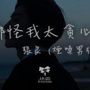 都怪我太贪心