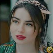 Ту Хушкели Мани