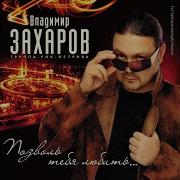 Владимир Захаров Мосты