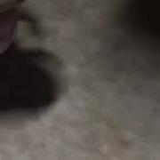 Какает Жаба Звуки