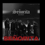 Senorita Hamex