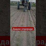 Дадам Улдиради Энди
