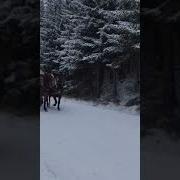 Тройка Лошадей С Колокольчиками