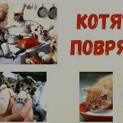 Мы Котята Поварята