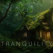 Chill Ambient