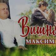 Вишня Максим Куст