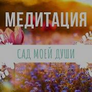 Медитация Сад Моей Души