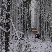 Песня Суровых Лесорубов