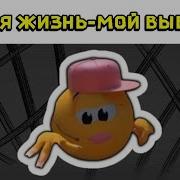 Моя Жизнь Мои Правила
