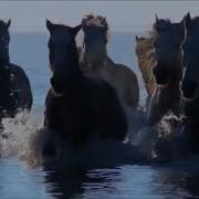 Конил Толкыны Минус