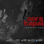 Qora Kapalak