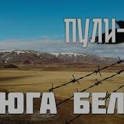 Вьюга Белая