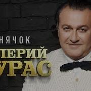 Сушнячек Валерий Курас