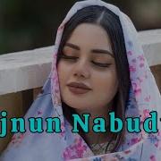 Majnun Nabudam