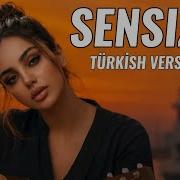 Sensizlik