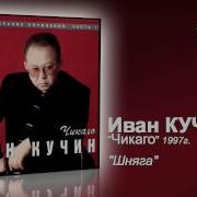 Шняга Кучин