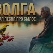 Иволга Василий Набожненко