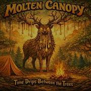 Molten Canopy Time Drips Between The Trees Full Album Psychedelic Stoner Acid Rock