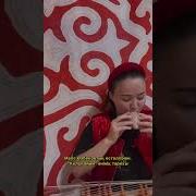 Сырнай Дауысы