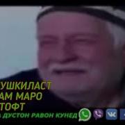 Фуркати Саид Бекаси