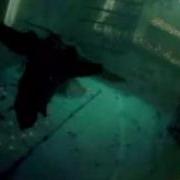 Боже Ты Же Видишь Боже