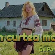 Am Curtea Mare Dj Porcu