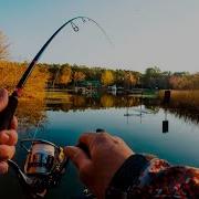 Аудио Рассказы Про Рыбалку