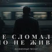 Жизненная Песня Ноя