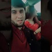Алишер Давлатов Скачат