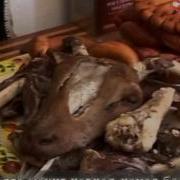 Борис Очкаев Худнр