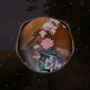 Минус Dabbackwood