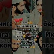 Аелимга Мактуб