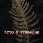 Гравитация Фото В Телефоне