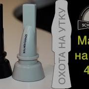 Манок На Шилохвость