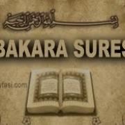 Bakara Süresi