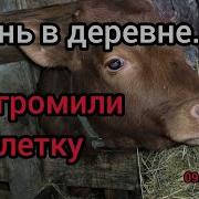Деревенька Александр Дворников