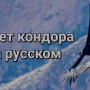 Полет Кондора На Русском