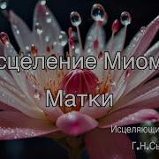 Сытин Исцеление Миома Матки