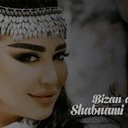 Шабнами Точиддин Бизан Доира