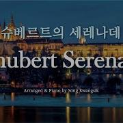 슈베르트