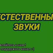Бытовой Шум Для Соседей