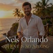Nels Orlando