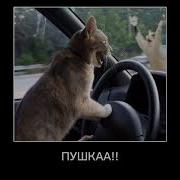 Алёёё Бляять