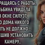 Истории Навсегда Новинки
