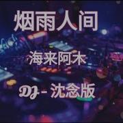 烟雨人间Dj