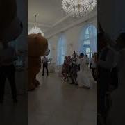 Мишки Тедди Флэшмоб