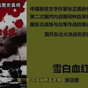 张正隆雪白血红2