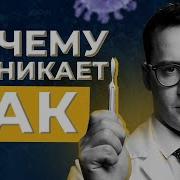 Рак Онкология