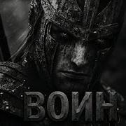 Tehnion Воин