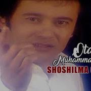 Tolmasdan 16 Yoshinga